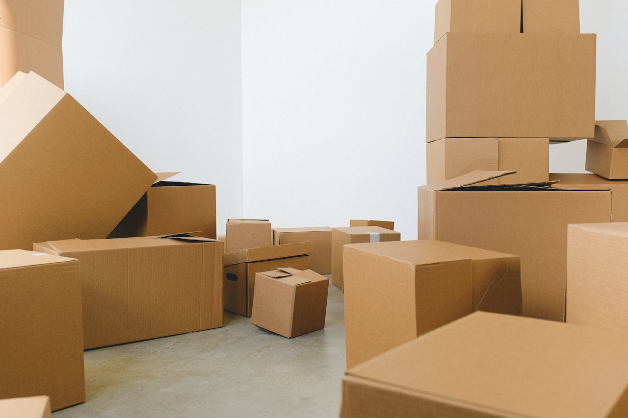 boxs